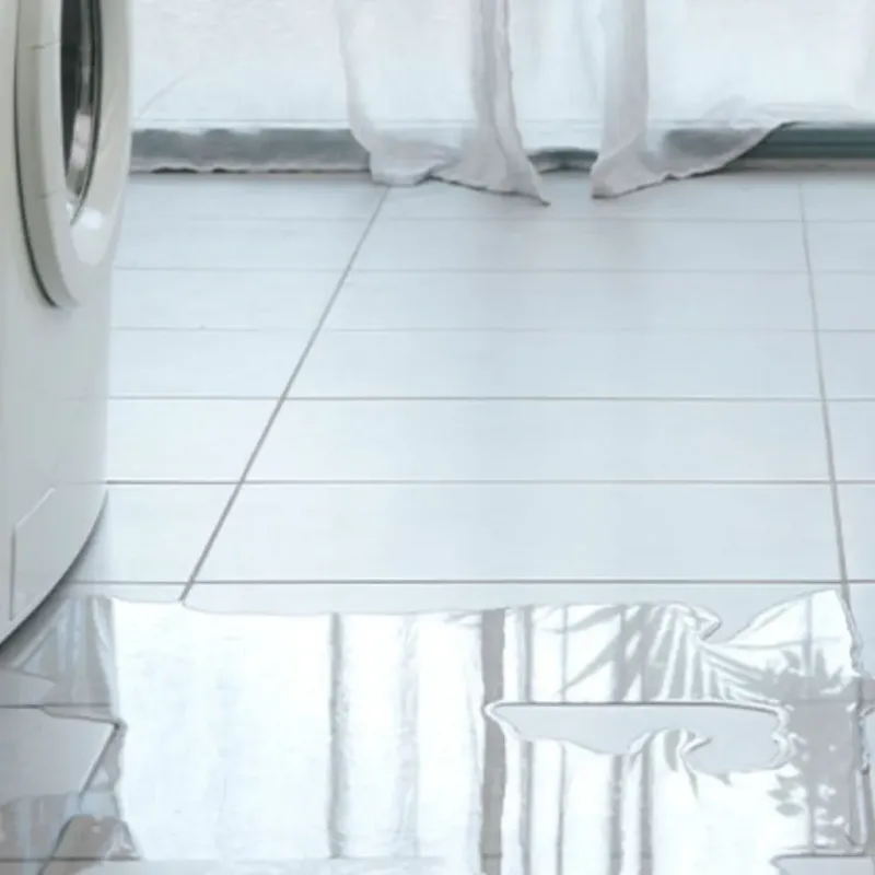 Appliance Leak Cleanup in Perrysburg, OH