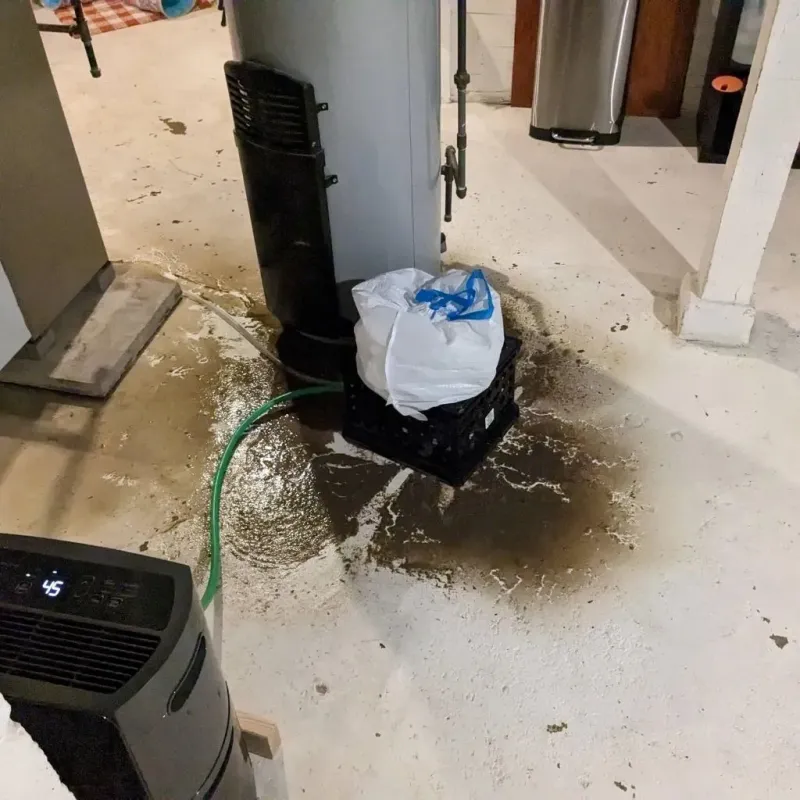 Sewage Backup Cleanup Service in Perrysburg, OH